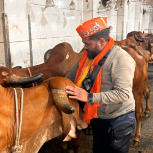 Gaushala Food Donation