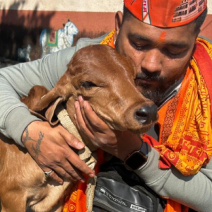 Street Animal Support Donation