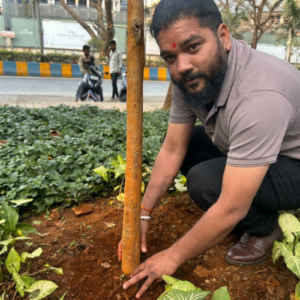 Tree Plantation Donation