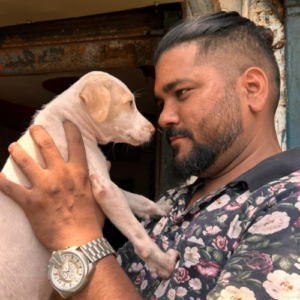 Street Animal Support Donation